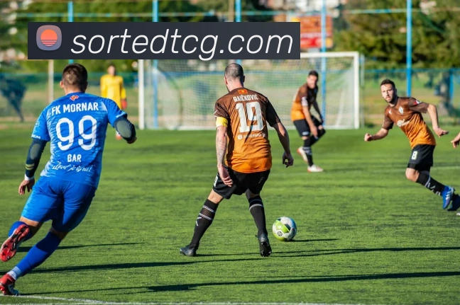 登录器 登录器
