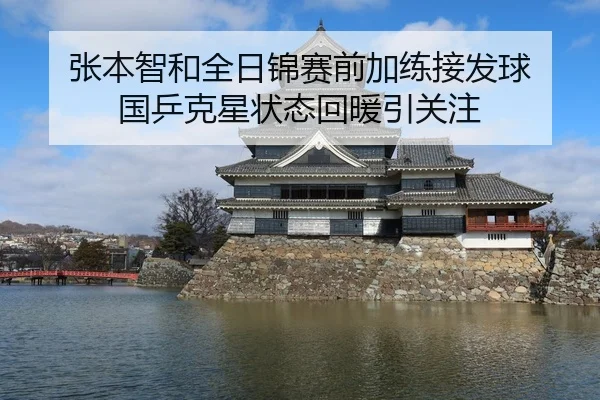 张本智和全日锦赛前加练接发球 国乒克星状态回暖引关注